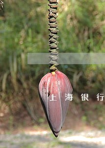 上海银行信用卡逾期二年 上海银行信用卡逾期二年