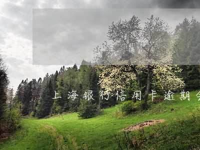 上海银行信用卡逾期会上门