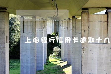 上海银行信用卡逾期十几天 上海银行信用卡逾期十几天