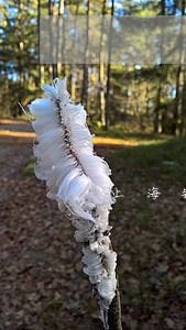 上海银行信用卡逾期半个月 上海银行信用卡逾期半个月