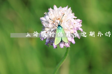 上海银行信用卡逾期外访流程