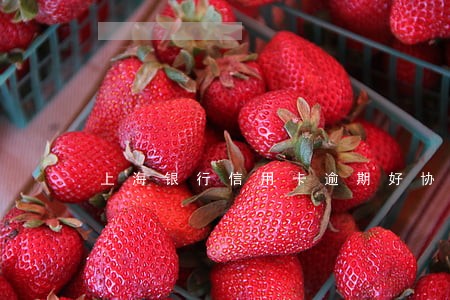 上海银行信用卡逾期好协商吗花旗 上海银行信用卡逾期好协商吗花旗
