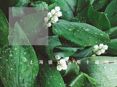 上海银行信用卡逾期如何解冻