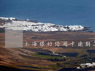 上海银行信用卡逾期怎么停账 上海银行信用卡逾期怎么停账