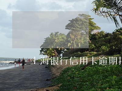 上海银行信用卡逾期打折还款 上海银行信用卡逾期打折还款
