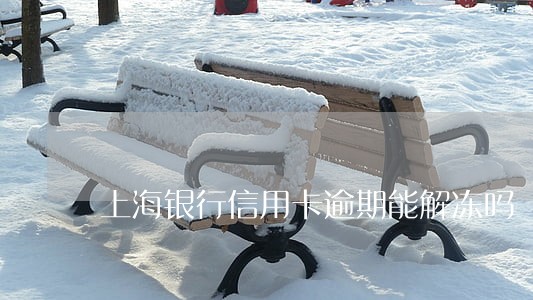 上海银行信用卡逾期能解冻吗 上海银行信用卡逾期能解冻吗