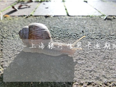 上海银行信用卡逾期账单 上海银行信用卡逾期账单