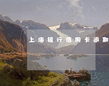 上海银行信用卡逾期费 上海银行信用卡逾期费