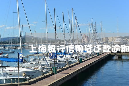 上海银行信用贷还款逾期 上海银行信用贷还款逾期