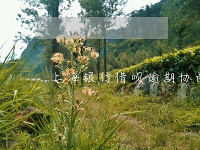 上海银行借呗逾期协商 上海银行借呗逾期协商