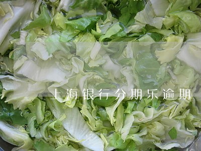 上海银行分期乐逾期 上海银行分期乐逾期
