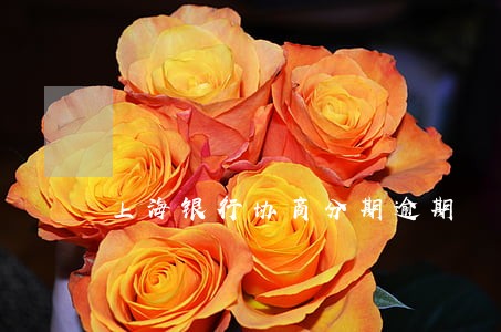 上海银行协商分期逾期 上海银行协商分期逾期