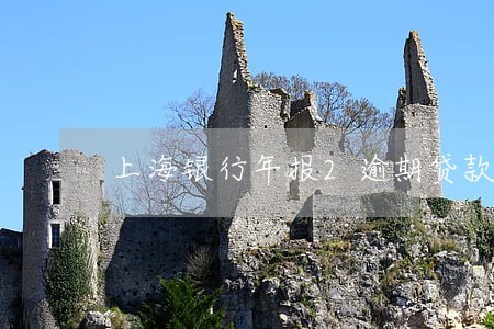 上海银行年报2逾期贷款 上海银行年报2逾期贷款