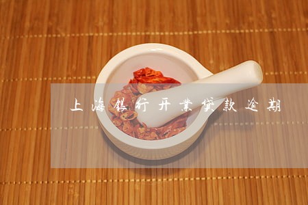 上海银行开业贷款逾期