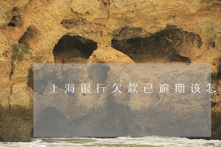 上海银行欠款已逾期该怎么还 上海银行欠款已逾期该怎么还