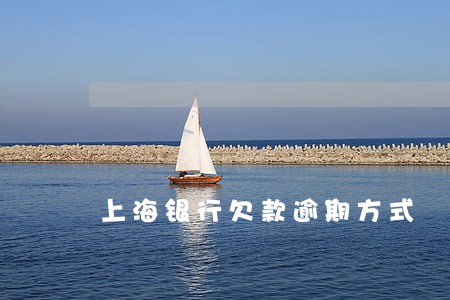 上海银行欠款逾期方式 上海银行欠款逾期方式