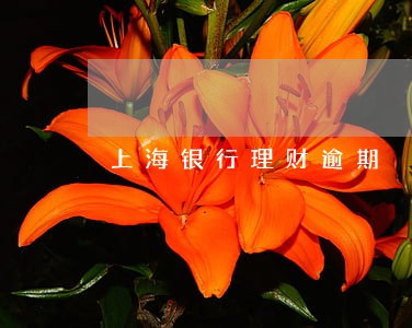 上海银行理财逾期 上海银行理财逾期