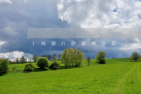 上海银行的逾期贷款 上海银行的逾期贷款