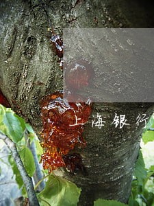 上海银行美团信用卡逾期四天 上海银行美团信用卡逾期四天
