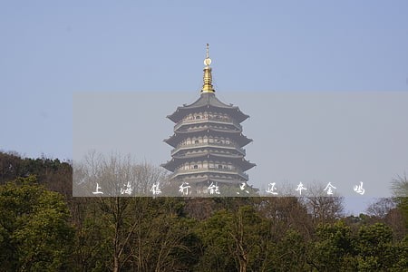 上海银行能只还本金吗 上海银行能只还本金吗