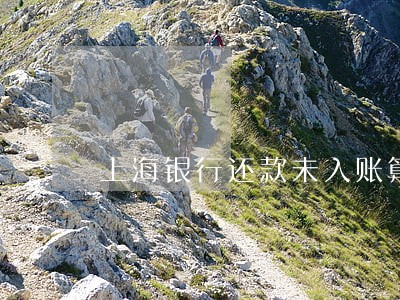 上海银行还款未入账算逾期吗 上海银行还款未入账算逾期吗