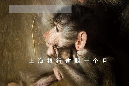 上海银行逾期一个月 上海银行逾期一个月