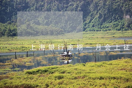上海银行逾期一月会上征信吗 上海银行逾期一月会上征信吗