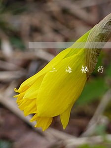 上海银行逾期三个月还可以分期 上海银行逾期三个月还可以分期