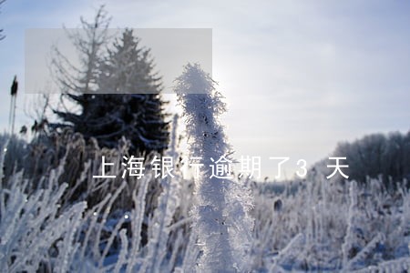 上海银行逾期了3天 上海银行逾期了3天