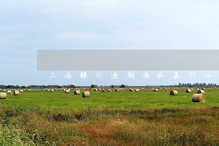上海银行逾期催收轰炸公司电话 上海银行逾期催收轰炸公司电话