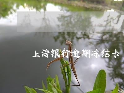 上海银行逾期冻结卡 上海银行逾期冻结卡