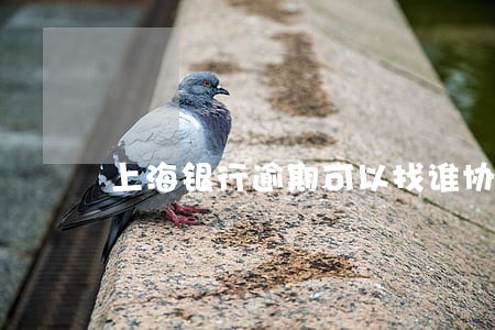 上海银行逾期可以找谁协商 上海银行逾期可以找谁协商