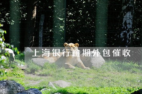 上海银行逾期外包催收 上海银行逾期外包催收