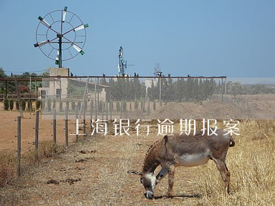上海银行逾期报案