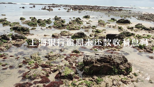 上海银行逾期未还款收利息吗 上海银行逾期未还款收利息吗
