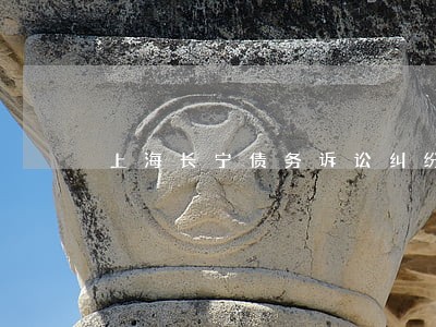 上海长宁债务诉讼纠纷律师