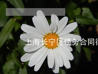 上海长宁区债务合同律师 上海长宁区债务合同律师