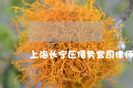 上海长宁区债务官司律师