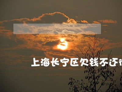 上海长宁区欠钱不还律师价格