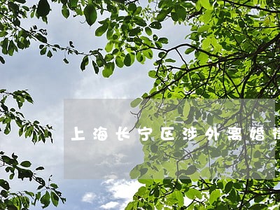 上海长宁区涉外离婚律师委托流程 上海长宁区涉外离婚律师委托流程