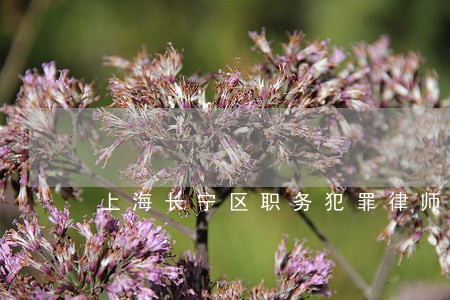 上海长宁区职务犯罪律师哪个好 上海长宁区职务犯罪律师哪个好