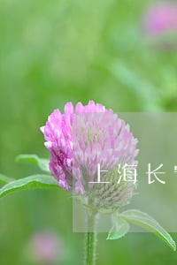 上海长宁区证券犯罪律师代理