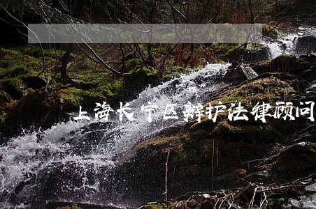 上海长宁区辩护法律顾问 上海长宁区辩护法律顾问