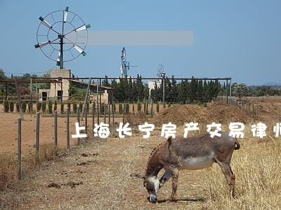 上海长宁房产交易律师 上海长宁房产交易律师