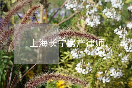 上海长宁房产律师 上海长宁房产律师