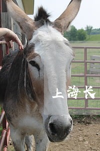上海长宁诉讼离婚律师收费标准 上海长宁诉讼离婚律师收费标准