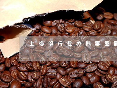 上海闵行专办刑事重罪律师 上海闵行专办刑事重罪律师