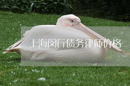 上海闵行债务律师价格 上海闵行债务律师价格