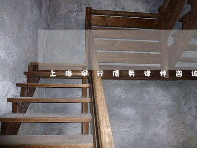 上海闵行债务律师咨询服务 上海闵行债务律师咨询服务