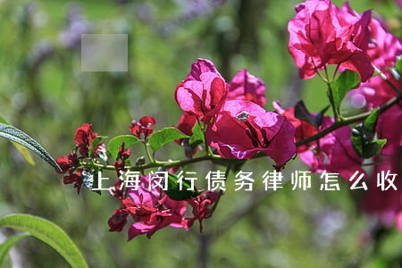 上海闵行债务律师怎么收费 上海闵行债务律师怎么收费